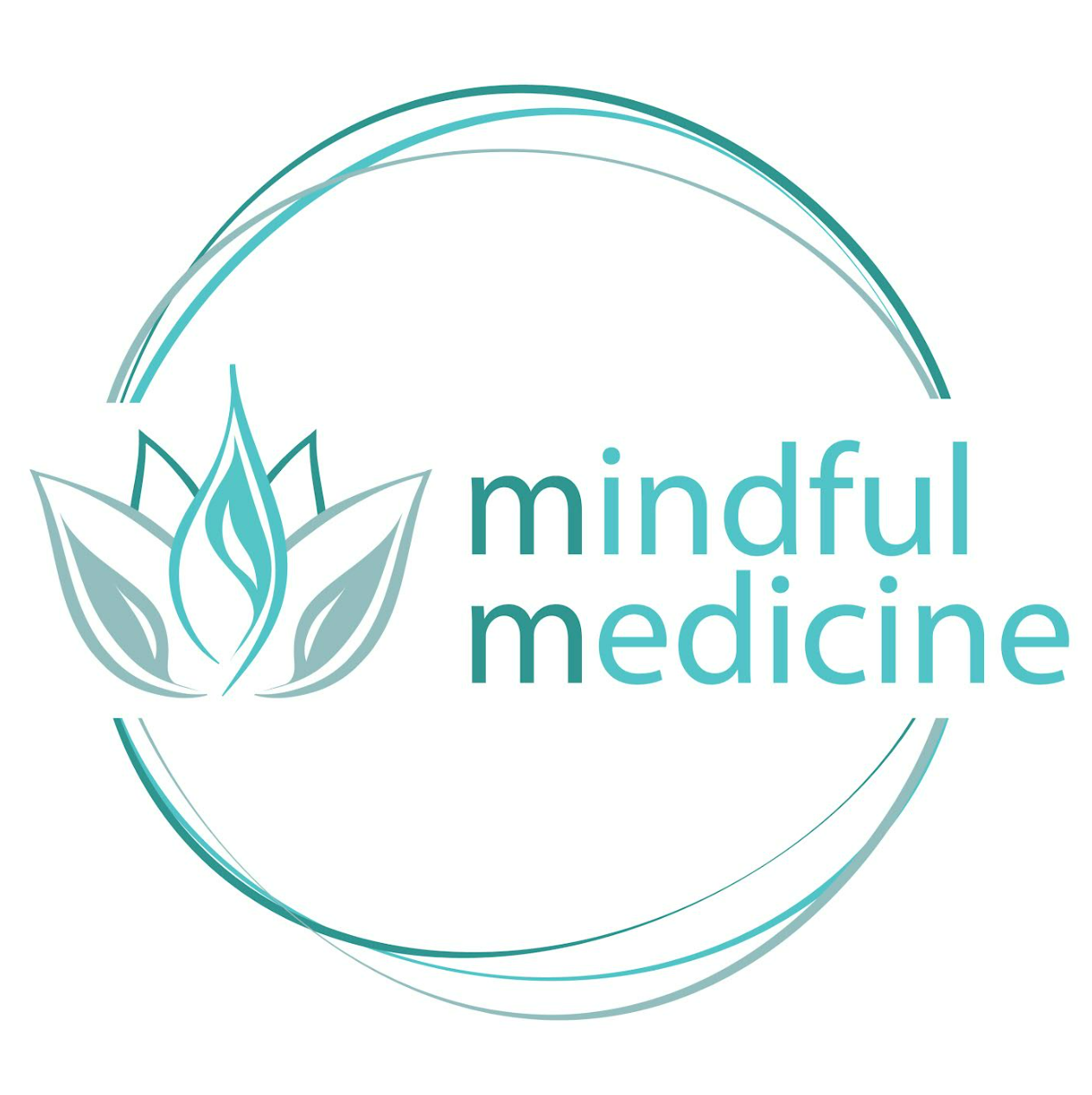 Mindful Medicine
